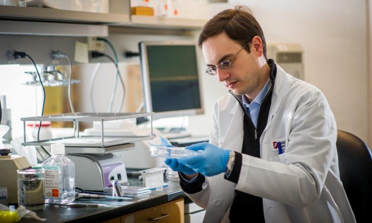 European PhD Flavor Research Awards for final year PhD students